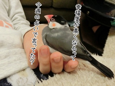 s-CIMG7494