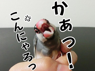 s-CIMG0245