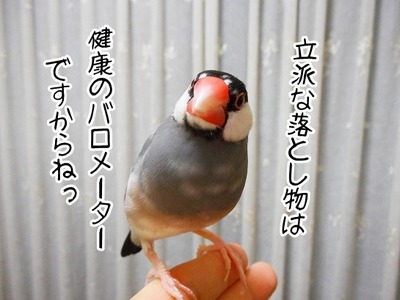 s-DSCN0273
