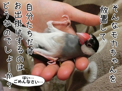 s-CIMG5666
