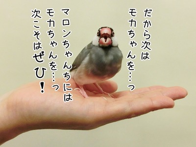 s-CIMG5755