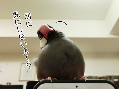 s-CIMG8653