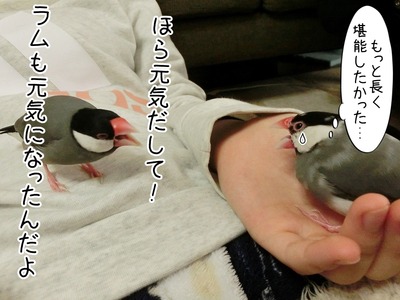 s-CIMG7518