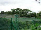 P1180987