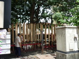 P1190186