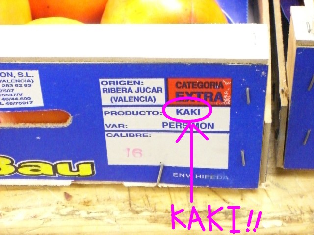 kaki