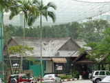 P1180988