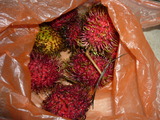 P1190104