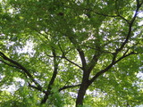 3839fec3.JPG