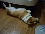 24bed1f6.jpg