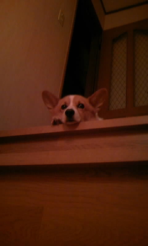 �ޤäƤ�衼