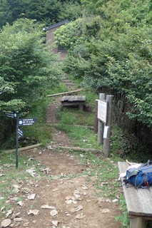 s-P8020227犬越路