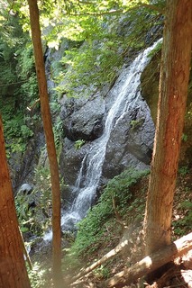 P7166481左岸巻きから-s