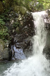 s-P8020134F8_10m滝・左壁
