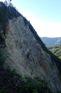 P8232520-s
