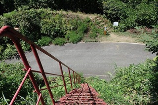P8232556-s