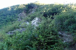 P8232515-s