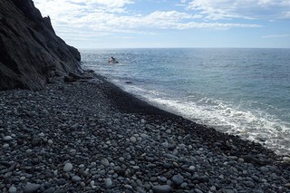 P8232593-s
