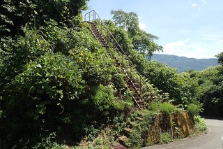 P8232560-s