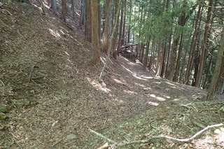 s-P7156415山道のコルに出る