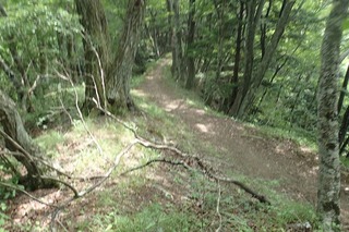 P7166604登山道-s