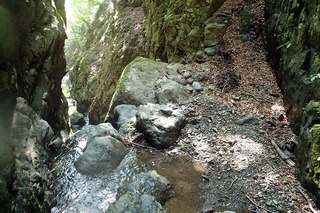 s-P7156319_CS8m滝・上から