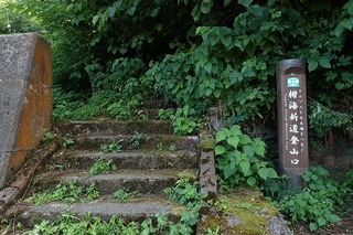 P8232581-s