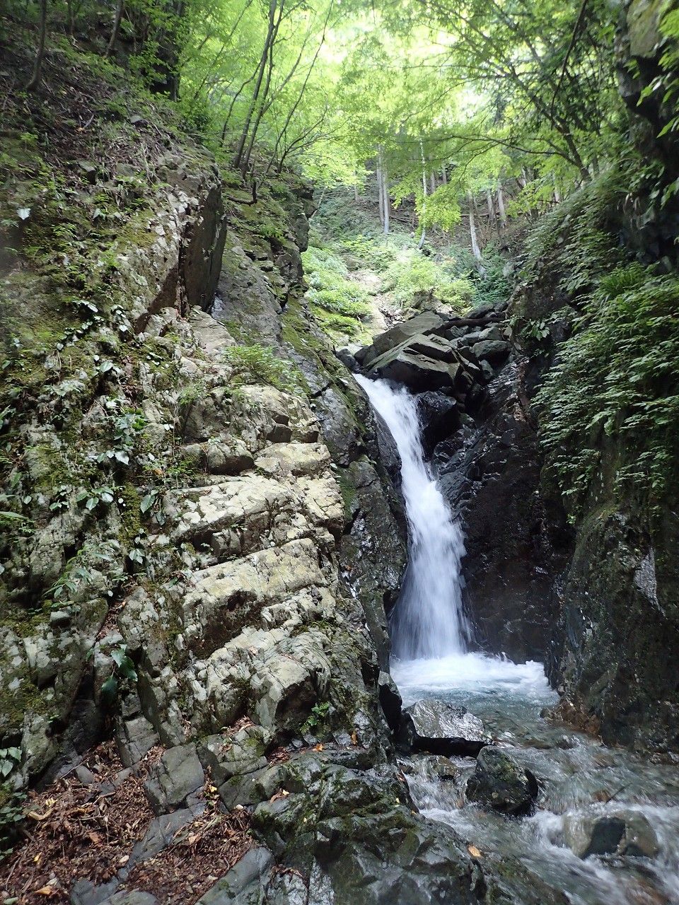 s-P8020122F7_7m滝・戻って右岸の巻き