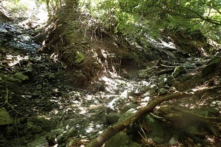 s-P7156394_二俣785m