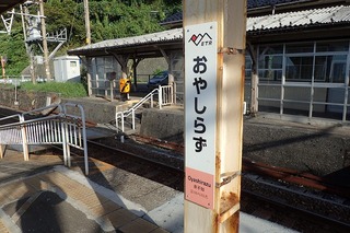 P8232623-s