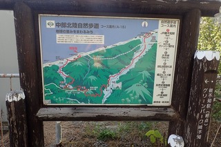 P8232621-s
