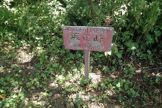P8232550-s