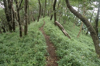 s-P8020211