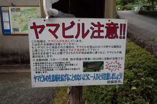 s-P8020264ヤマピル注意の看板