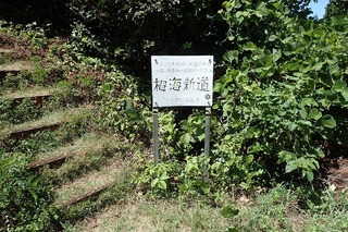 P8232557-s