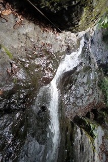 P7166449二段目上部・振り返る-s