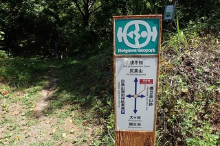P8232549-s