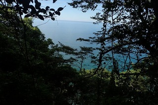 P8232586-s