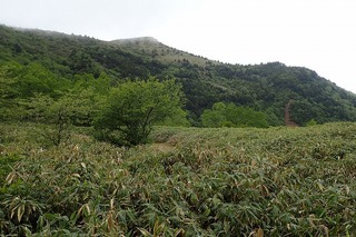 s-36°ÈÉô¤«¤é±¨Ë¹»Ò³Ù