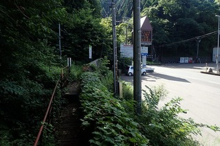 P8232577-s