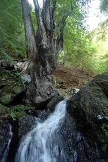 s-P7156265_ゴルジュ手前の滝
