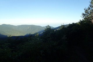 P8232512-s
