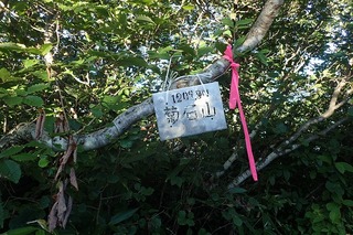 P8232511-s