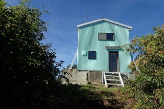 P8232535-s