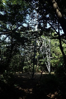 P8232569-s