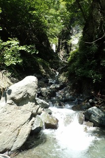 s-P8020045遡行開始