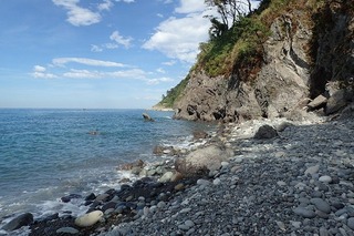 P8232592-s