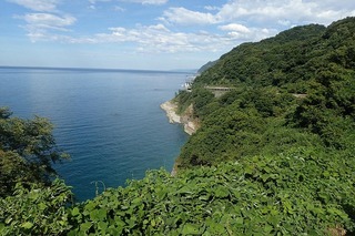 P8232603-s