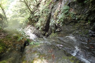 P7166454三段目・振り返る-s