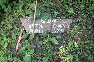 P8232547-s